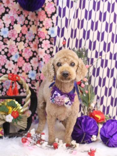 20250123ノンくん